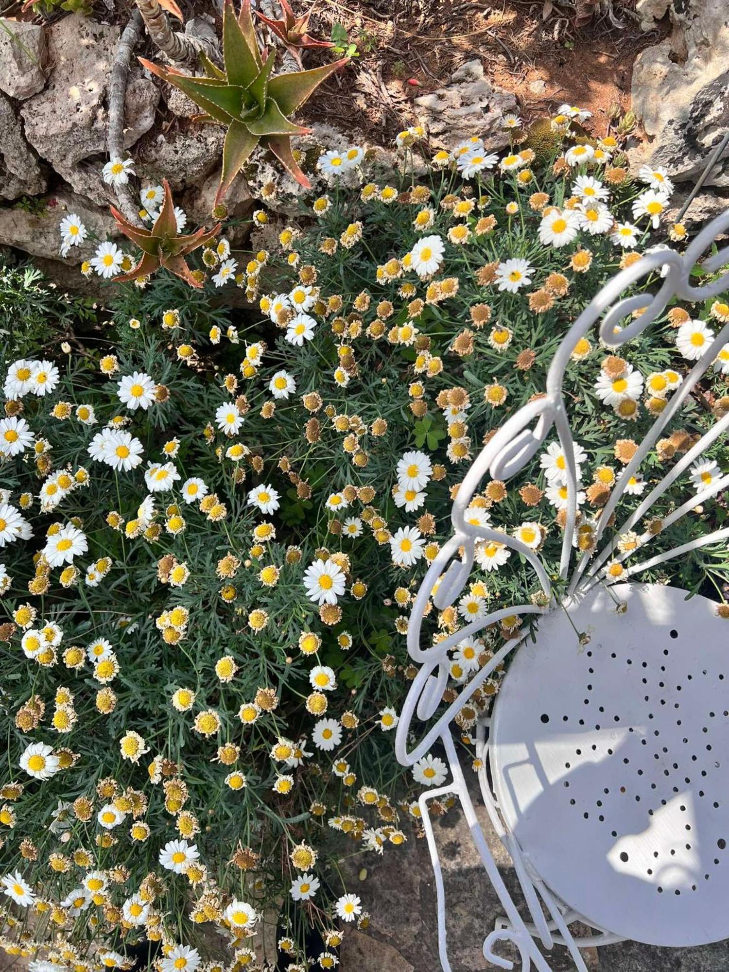 Villa Casa Vacanze Fiore Gallipoli Kültér fotó