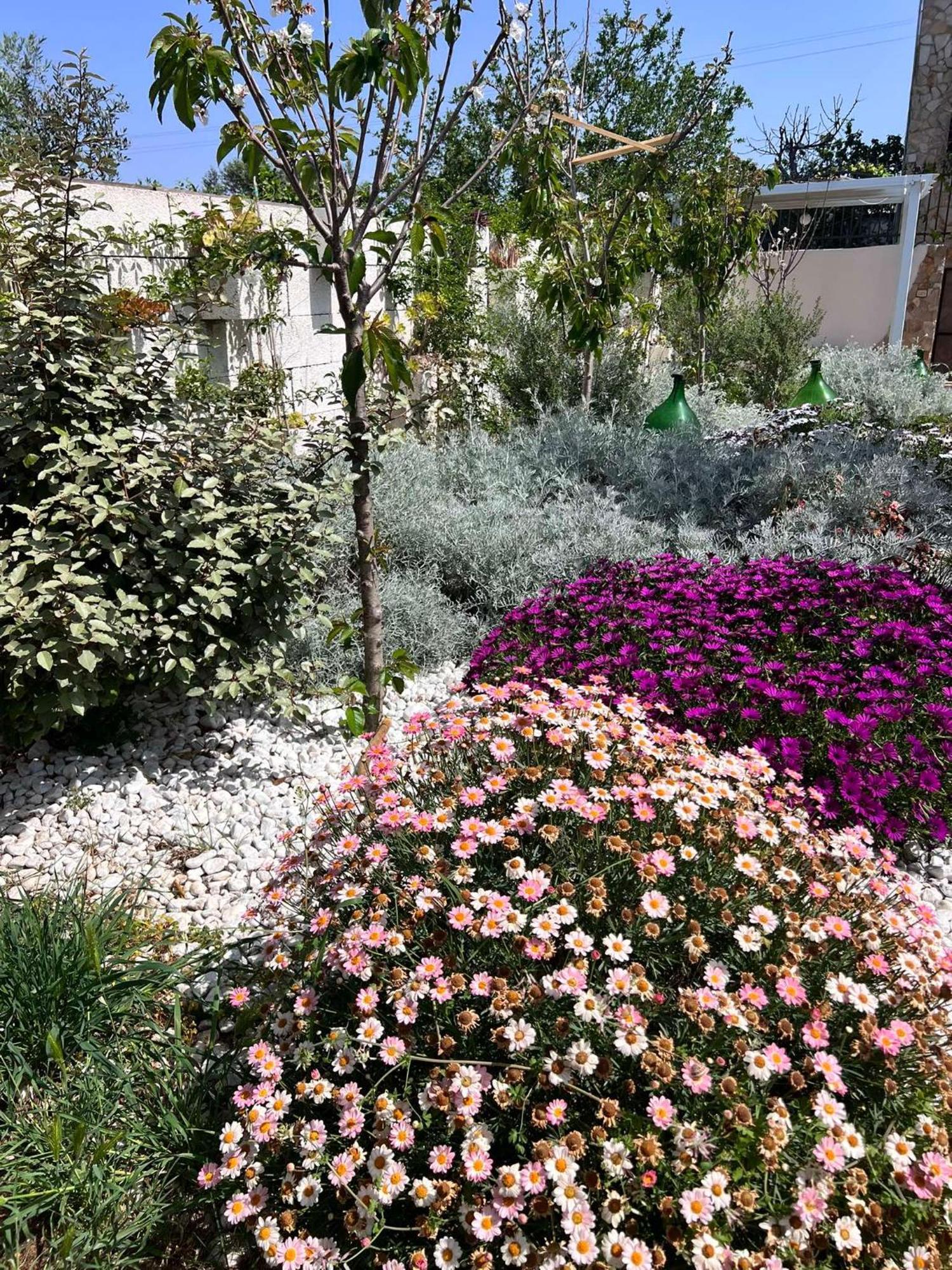 Villa Casa Vacanze Fiore Gallipoli Kültér fotó