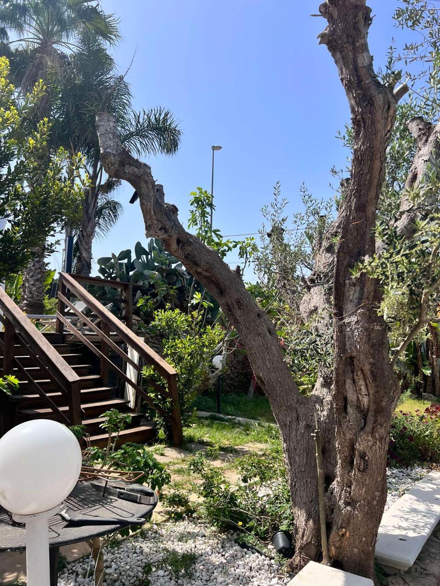 Villa Casa Vacanze Fiore Gallipoli Kültér fotó